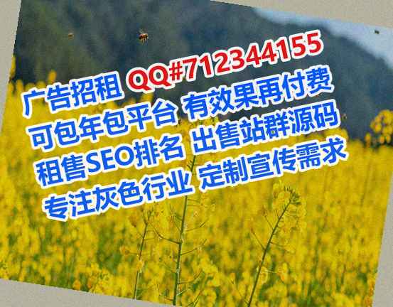 湛江代妈安防事务所